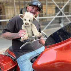 output onlinetools 1 208dbe7f 91e9 4ab1 8037 6572f4bfbb0a