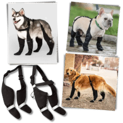 Waterproof Dog Suspenders Boots