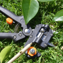 output onlinetools 4 a7377815 a08e 429e afa0 49723aa72e66