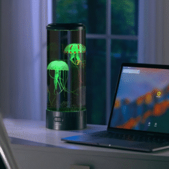 output onlinetools e37a9bd3 c4e5 4564 a164 72af0876ced7