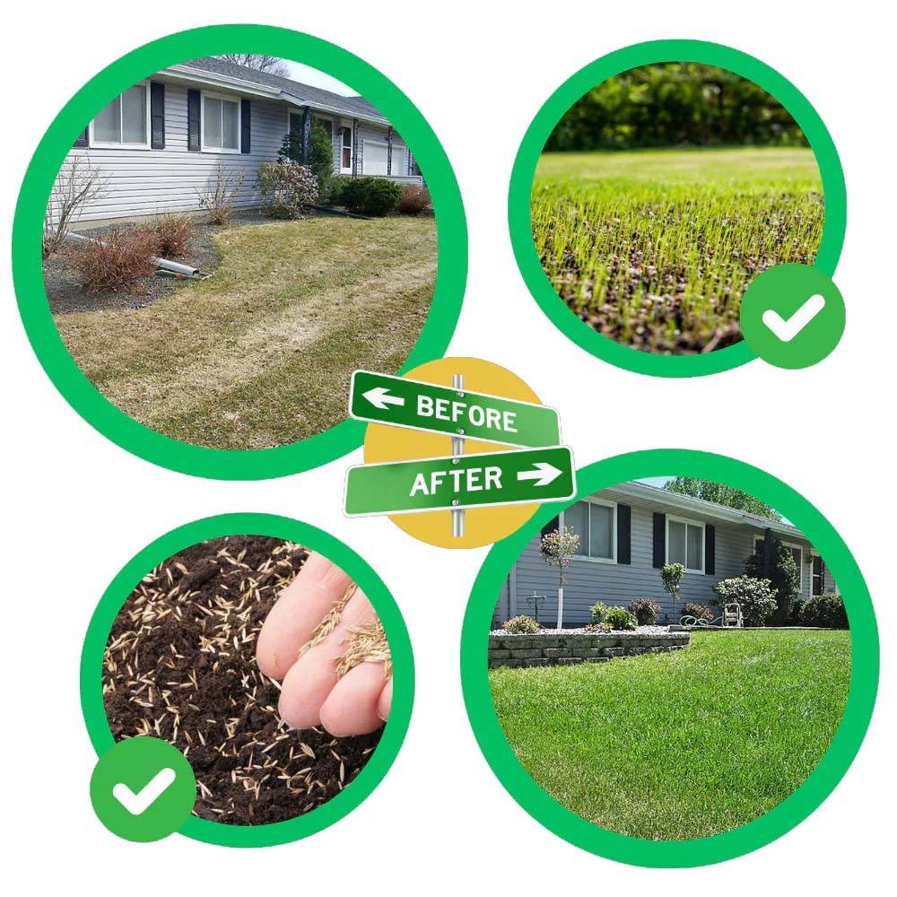 Quick Fix Green Grass Seed Mat - Image 7
